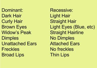 dominant recessive traits examples hair list genetic color example eye weebly